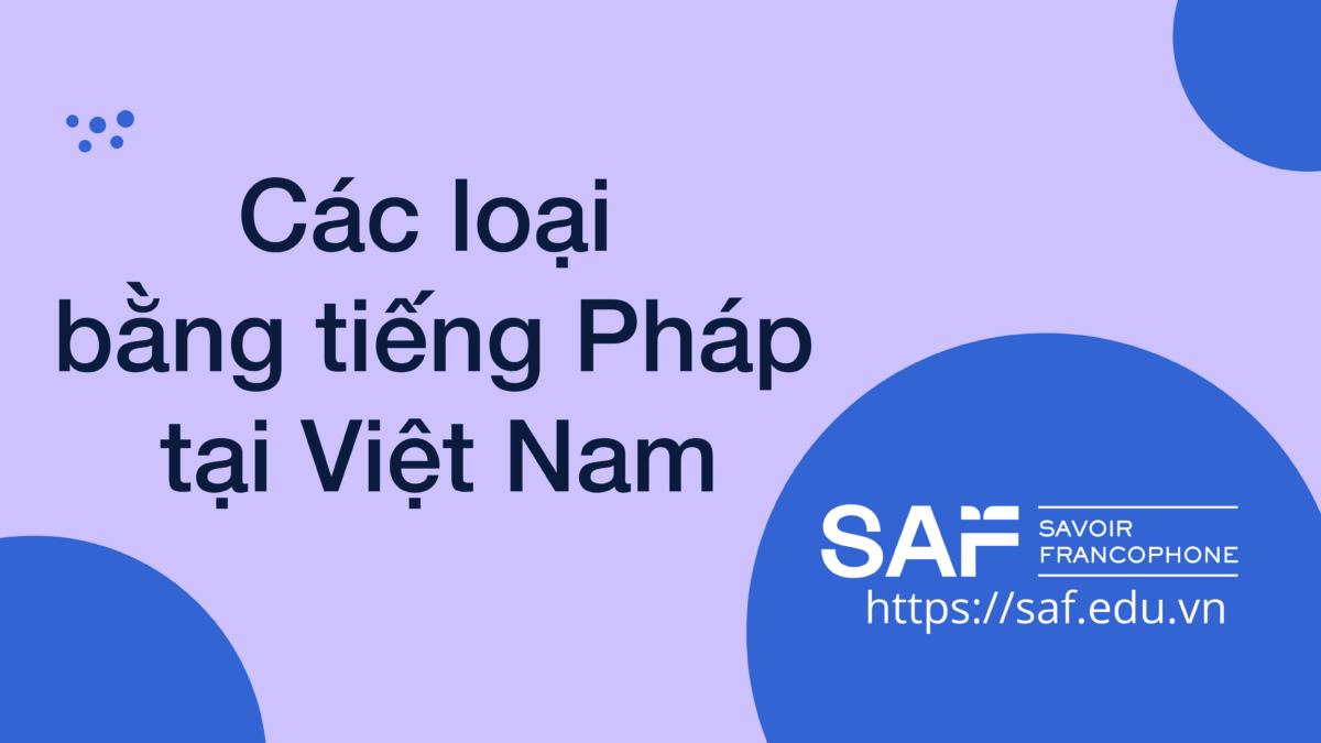 Chi tiết các loại bằng tiếng Pháp tại Việt Nam cho người lười tìm hiểu 